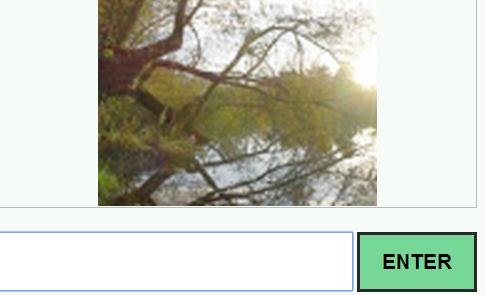 14.PNG