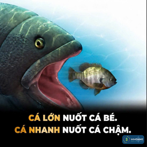1769997023649.png