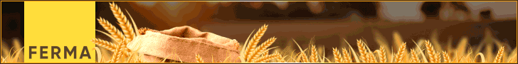 728x90.gif 728x90.gif