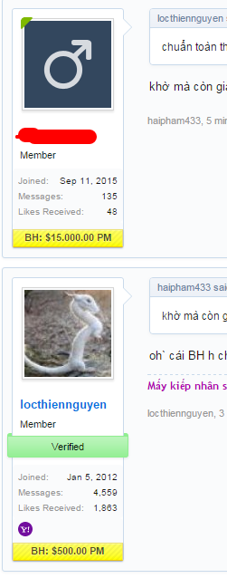 Bao Hiem.png