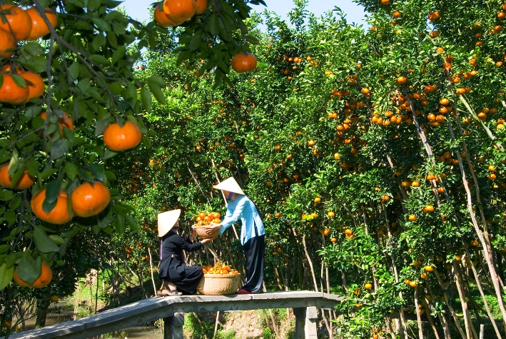 bentre5.jpg