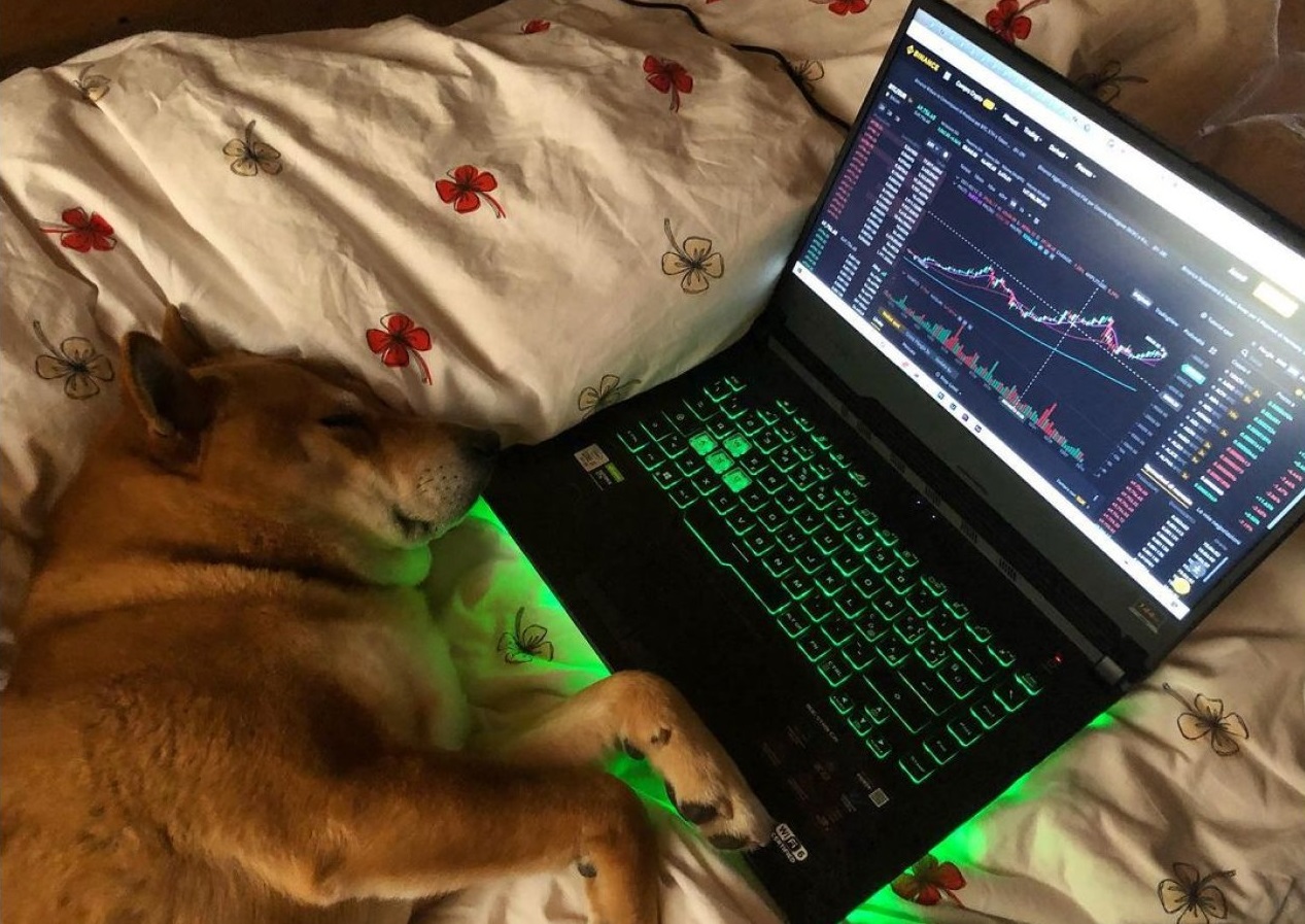 Binance-doge[1].jpeg