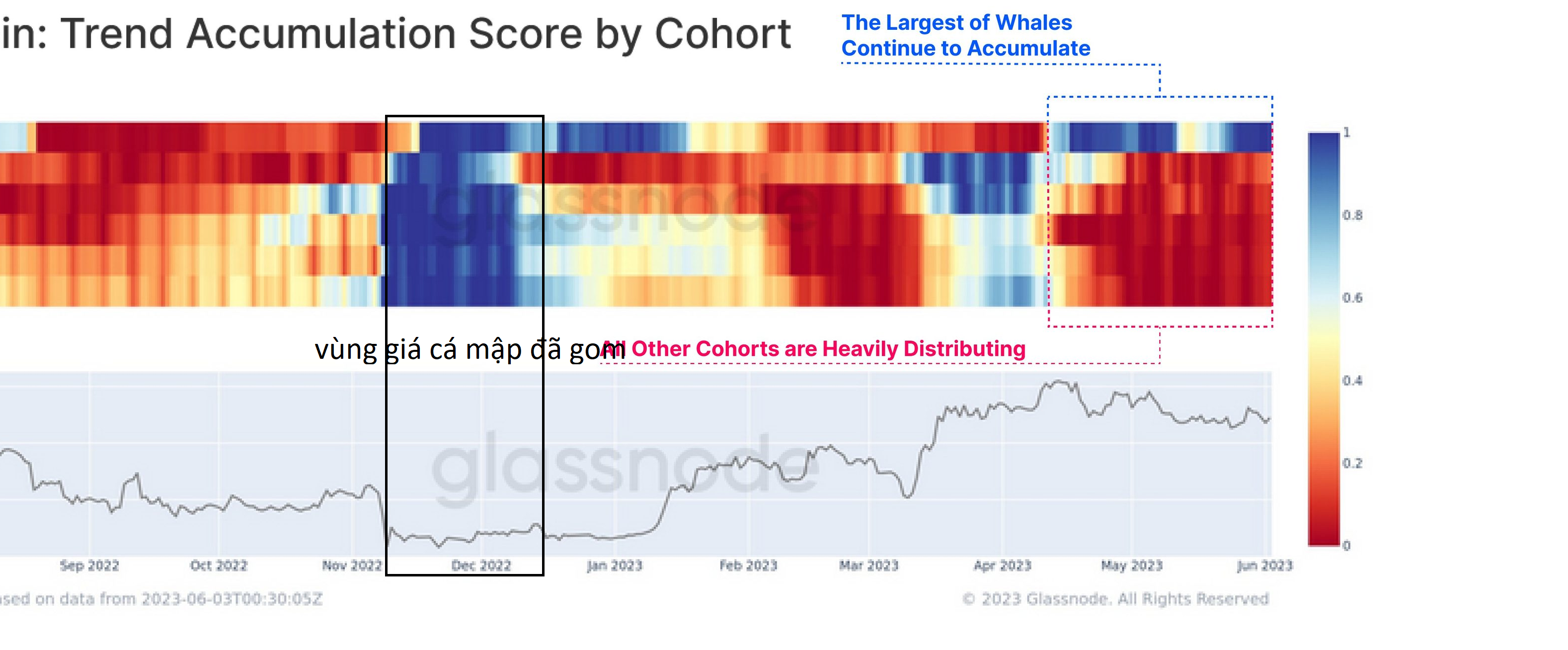 btchnay.png btchnay.png