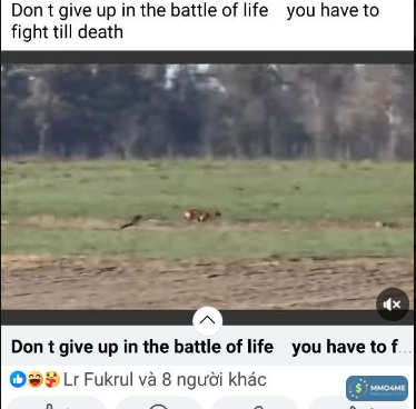 Capture.PNG