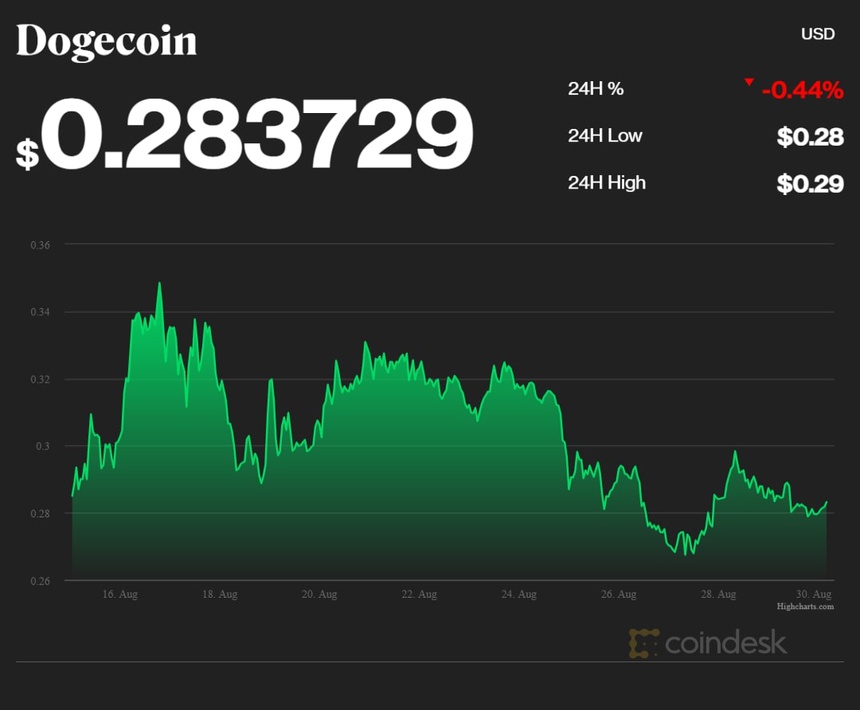 coindesk_DOGE_chart_2021_08_30[1].jpg