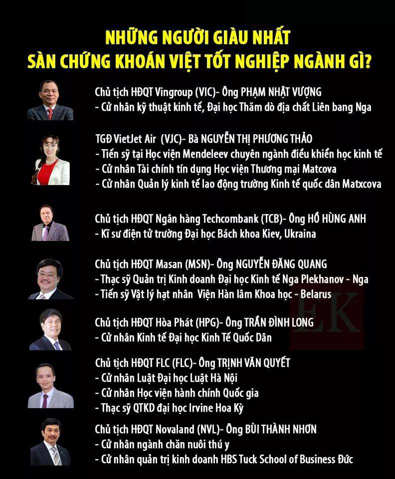 giau nhat viet nam.png