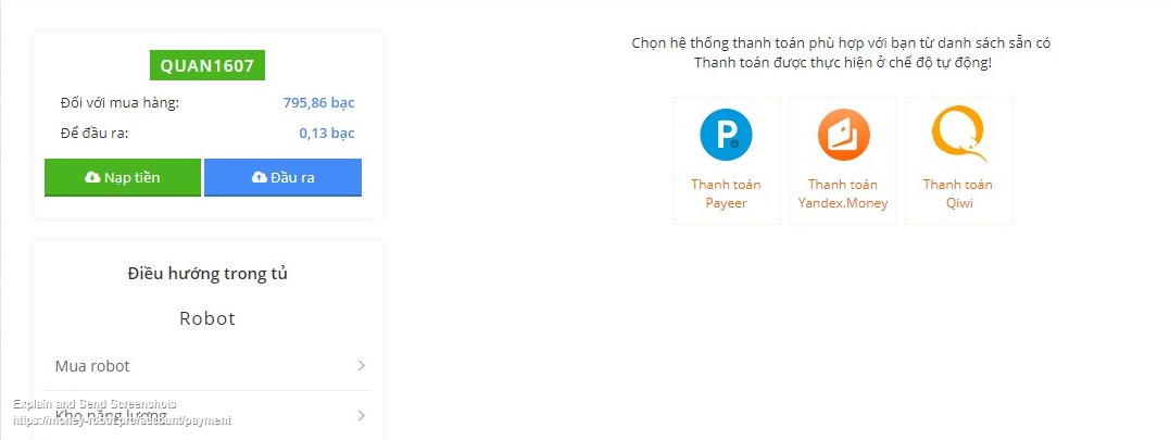 Screenshot of Money Robot (1).jpg