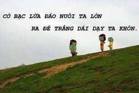 tải xuống.jpg