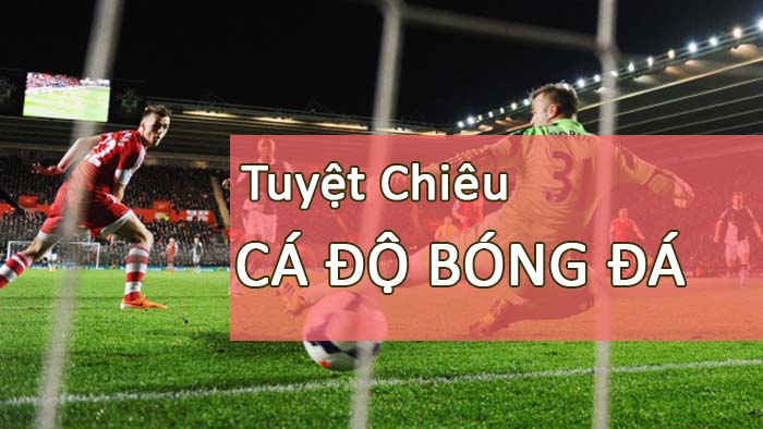 tuyet-chieu-ca-do-bong-da.jpg tuyet-chieu-ca-do-bong-da.jpg