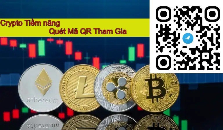 z4925052591442_d43d9b408441fb1b3c321bf5c96db9a4.jpg z4925052591442_d43d9b408441fb1b3c321bf5c96db9a4.jpg