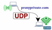 udp-la-gi-5.jpg
