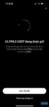 IMG_3673.jpeg