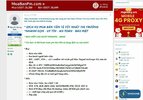 scam 05.jpg