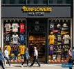 sunflowershillstore.jpg