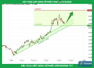 vnd_tptacademy_phuongthanhconghanhphuc_0947409918_typhutrader_cophieu_chungkhoan_01102025.png