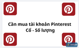 pinterest.png