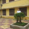 WinNguyen
