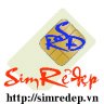 Simredep