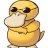 psyduck